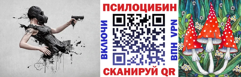закладка  Заречный  Псилоцибиновые грибы мицелий 